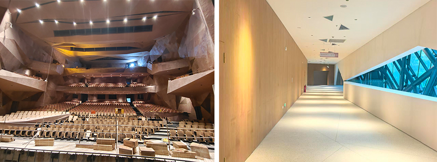 IMG_20251014_213447 拷贝-2.jpg