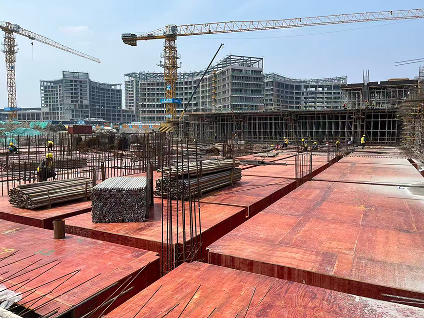 微信图片_202506091357301 拷贝.jpg